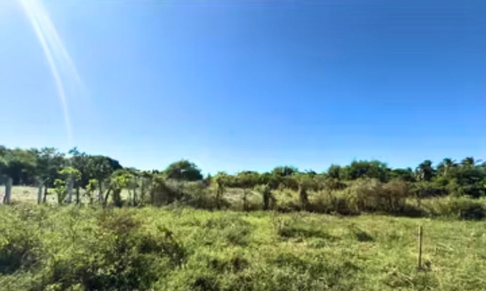 San Pedro Mazahuat, La Paz – Lotificación Miraflores